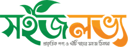 Sohozlovvo Logo