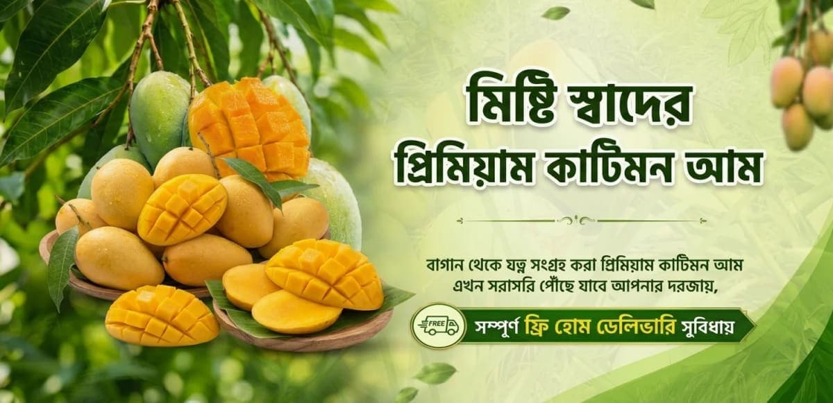 কাটিমন বারোমাসি 