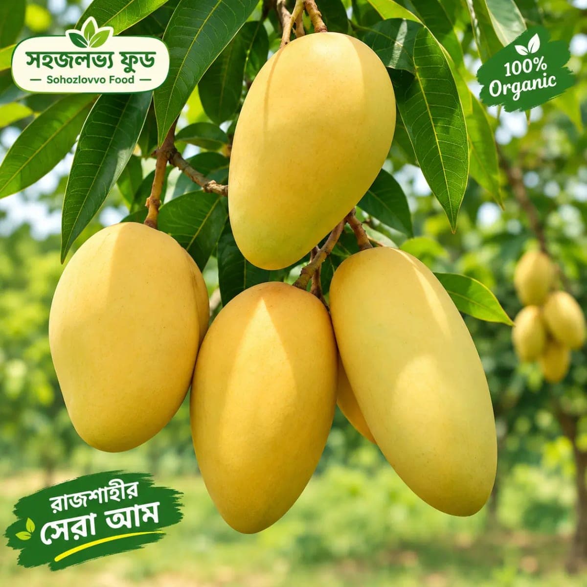 20kg সুইট কাটিমন আম