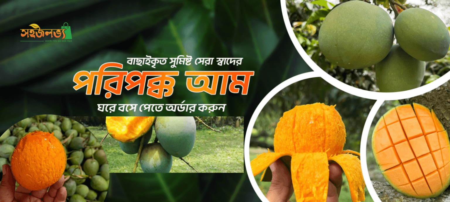 website-banner-1536x691